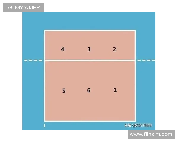杭州排球队的战术演变与球员转换深度解析